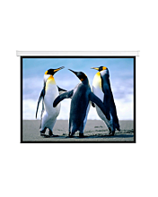 Anchor 150" Electrical Projector Screen - ANMS150HDD